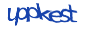 There is supposed to be an image captcha here, you could refresh the page or press the {0} button to try getting another image.