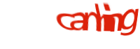 There is supposed to be an image captcha here, you could refresh the page or press the {0} button to try getting another image.